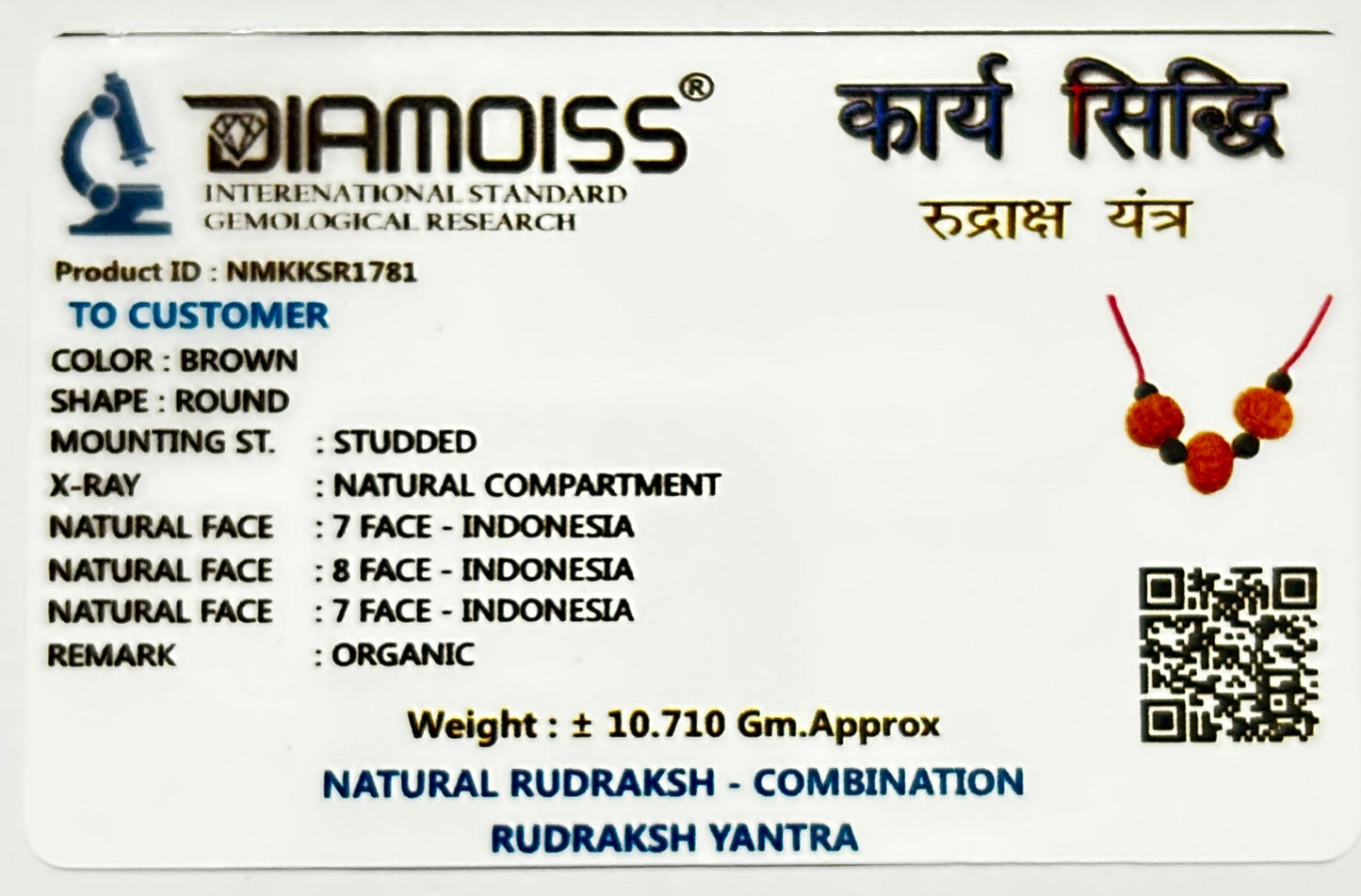 Certified Rudraksha Karya Siddhi Yantra (7 Mukhi, 8 Mukhi, 7 Mukhi) – Wearable for Men & Women