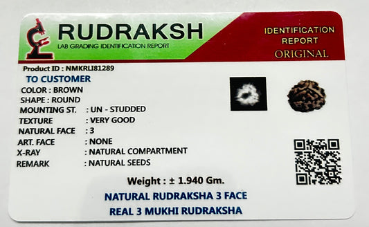 Certified Natural 3 Mukhi Rudraksha – Single Bead for Puja, Temple & Personal Use