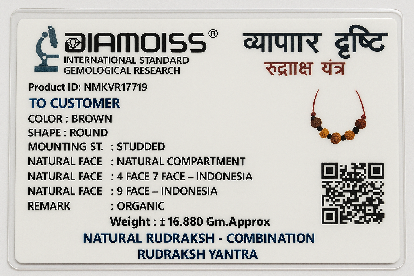 Certified Rudraksha Yantra – 5 Beads (4, 5, 7, 8 & 9 Mukhi) | For Business Growth
